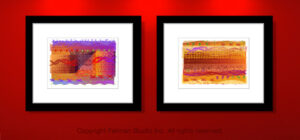 Genomic-themed original fine art prints by Lynn Fellman