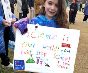 DNA-themed fine art, books, videos, and notecards by Lynn Fellman at FellmanStudio.com.